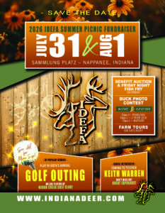 Idefa Summer Picnic 2026